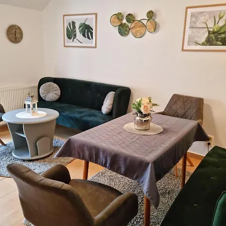 Ferienwohnung-wiesenblick-mit-gratis-leistungen Apartment