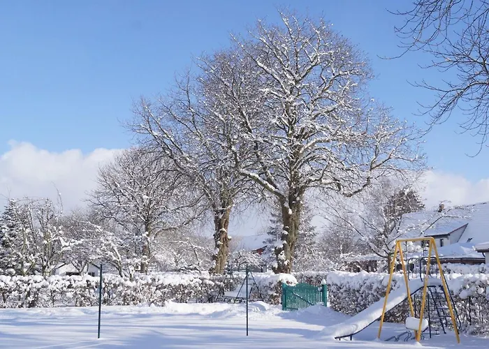 Appartement Ferienwohnung-wiesenblick-mit-gratis-leistungen Thesenvitz